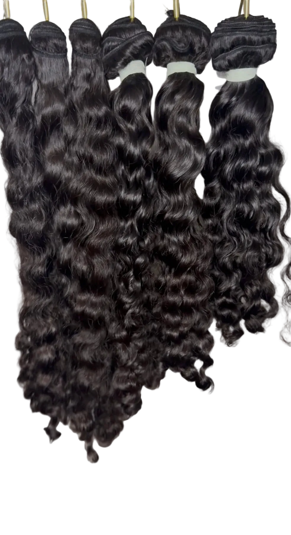 Burmese Curly