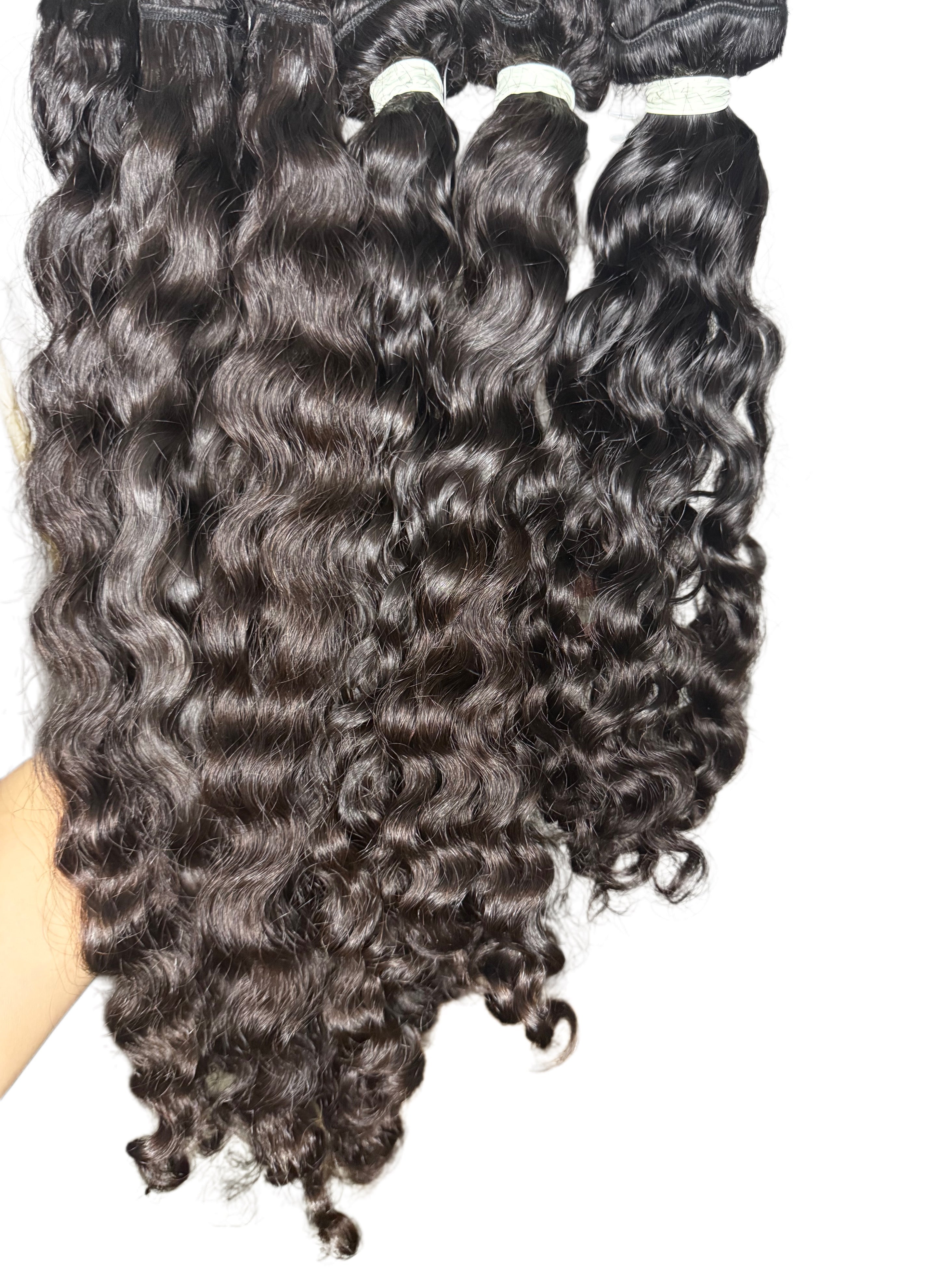 Burmese Curly